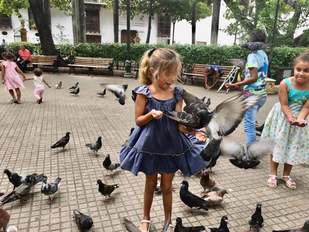 En uno de los muchos parques de Cartagena de Indias.