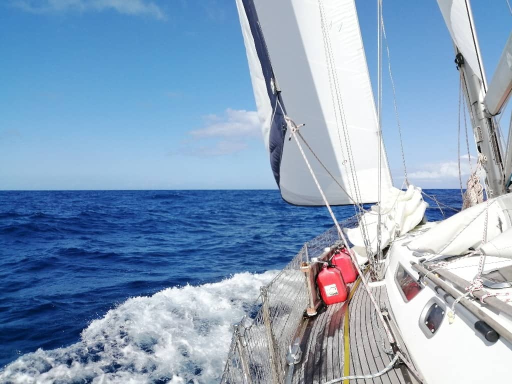 Día 28: Superamos las 3000 millas navegadas.